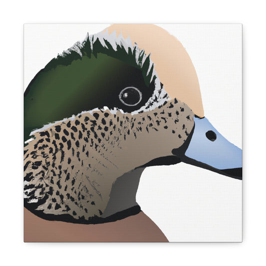 Wigeon Canvas Gallery Wrap (12x12")