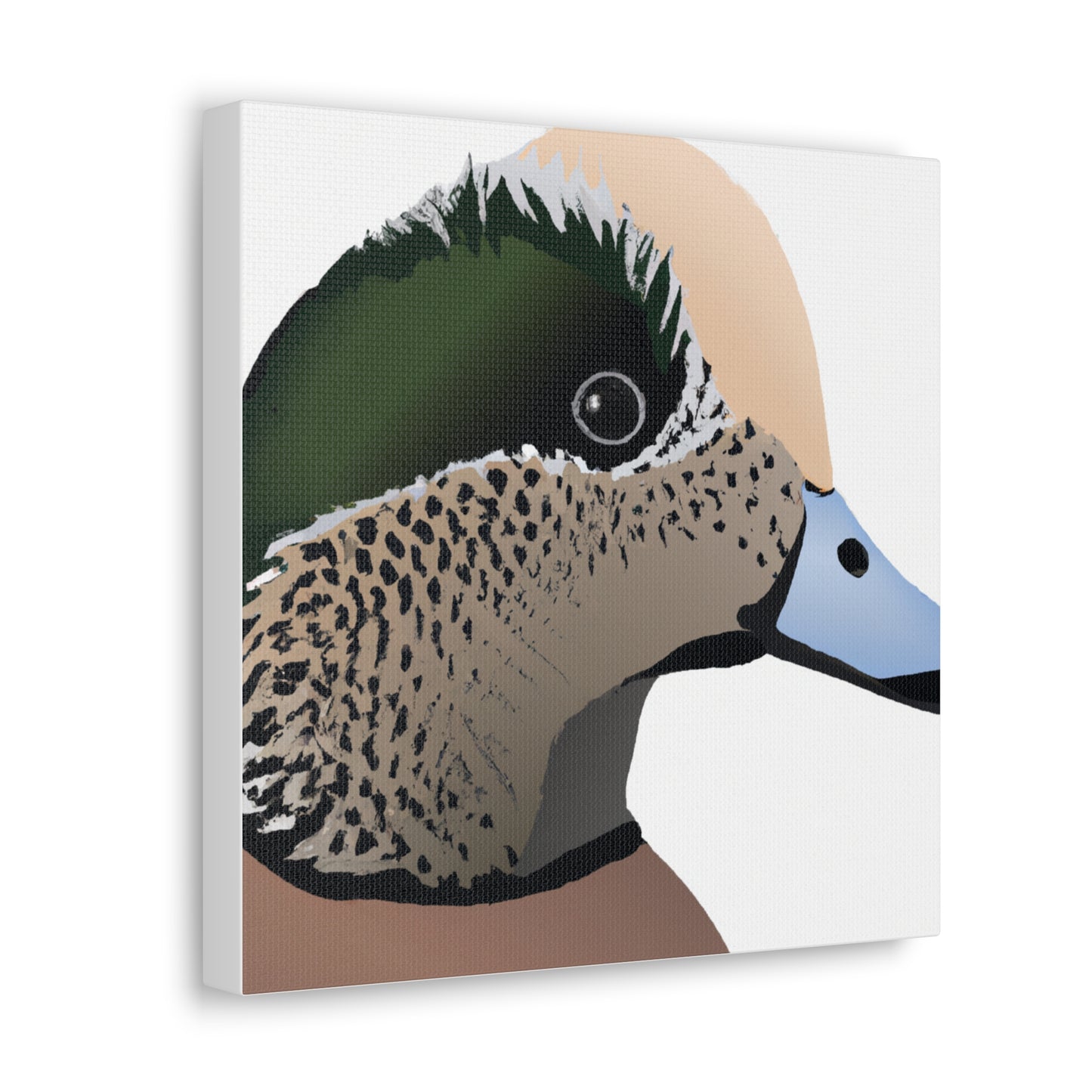 Wigeon Canvas Gallery Wrap (12x12")